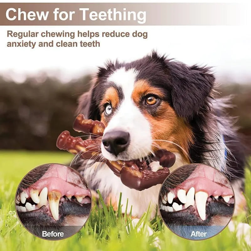 Scarlet nylon dog chew toy with beef flavour for molar nibbling, measuring 10.7x17.2x5cm
