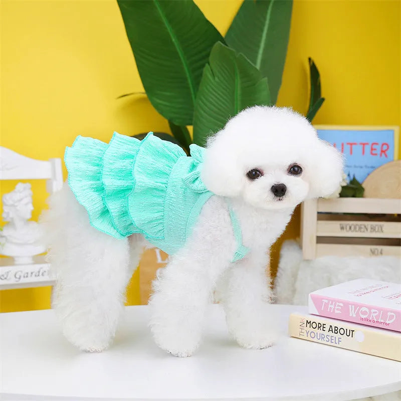Small dog wearing princess dress with layered skirt design in candy colour option
