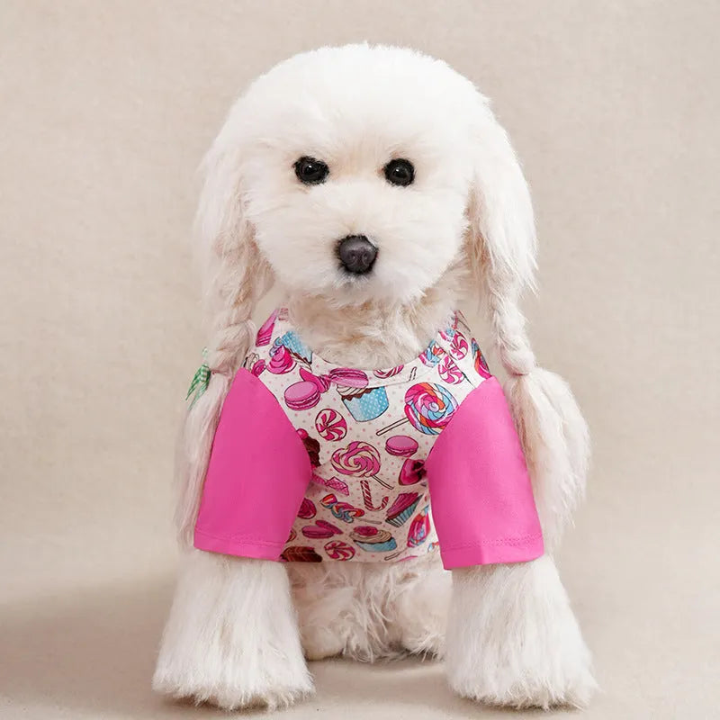 Colourful printed polyester t-shirt on a small dog, showing casual spring and autumn pet clothing.