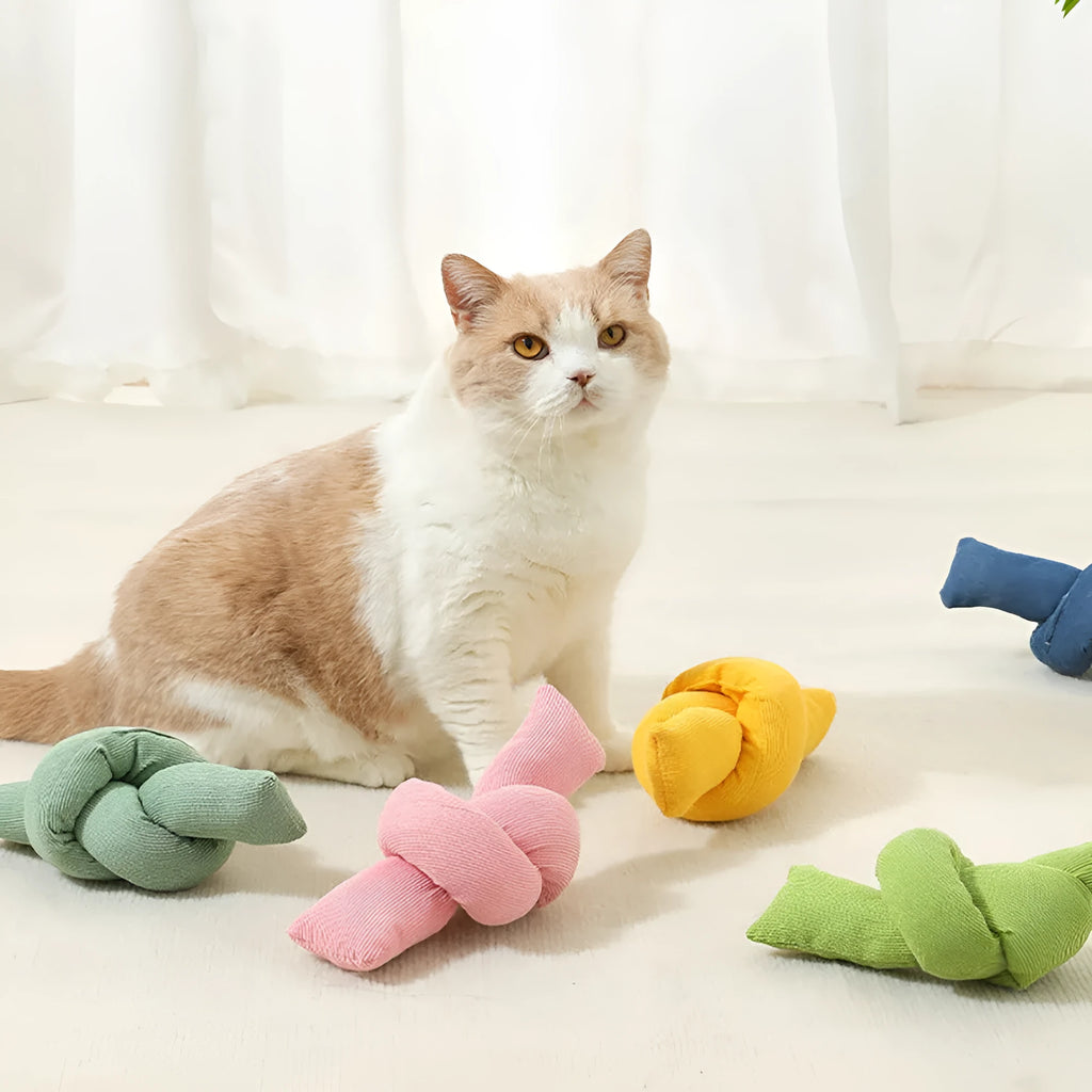 White knotted cotton rope dog toy for tug of war and chewing