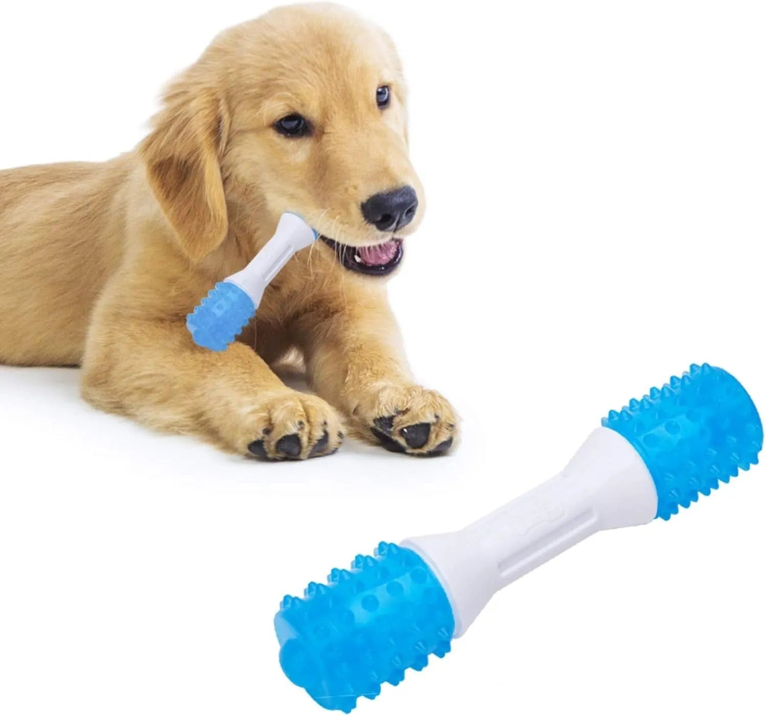 Dual-colour TPR and PU puppy teething chew toy in Aqua Bone shape for dogs