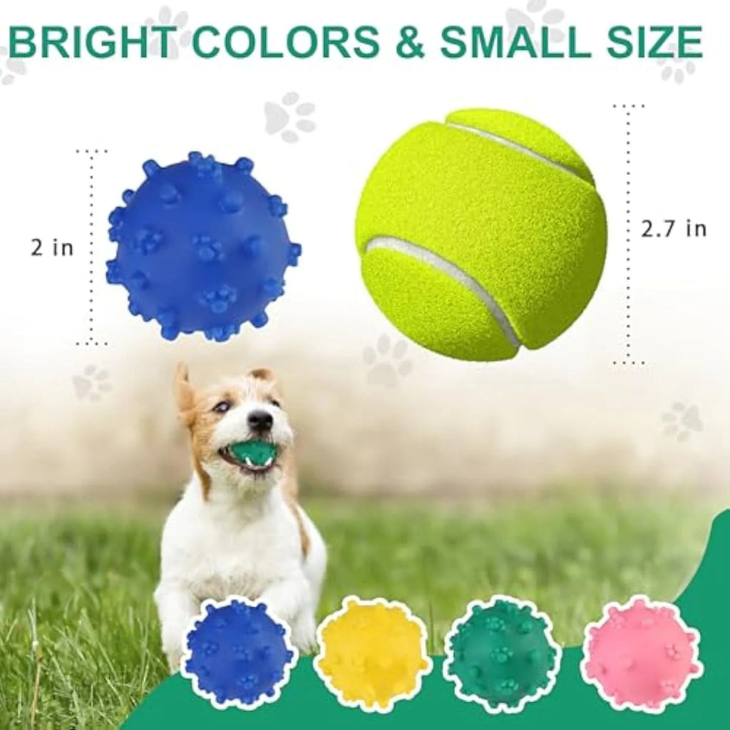 Bright blue, green, pink, and yellow spiky dog toy balls with paw print dimples, shown next to a small dog.