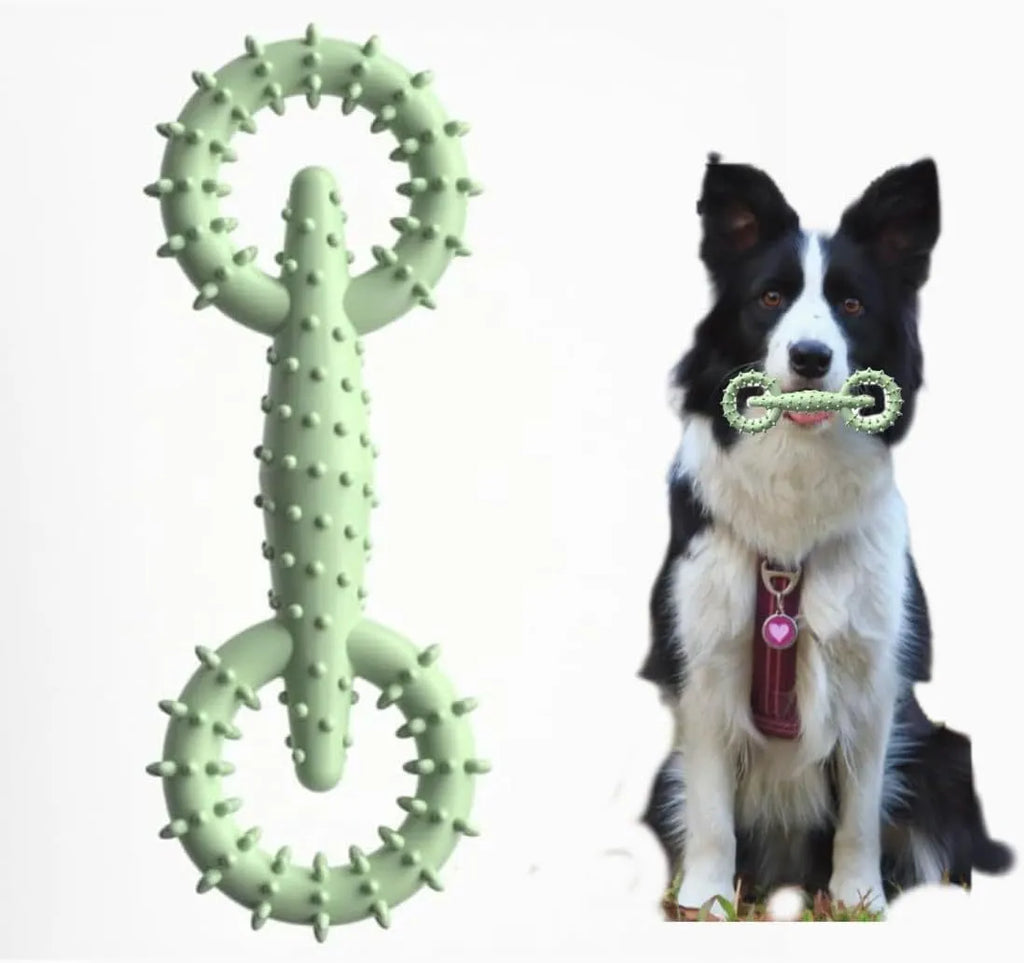 Blue TPR dog chew toy ring for puppy teething measuring 16cm diameter