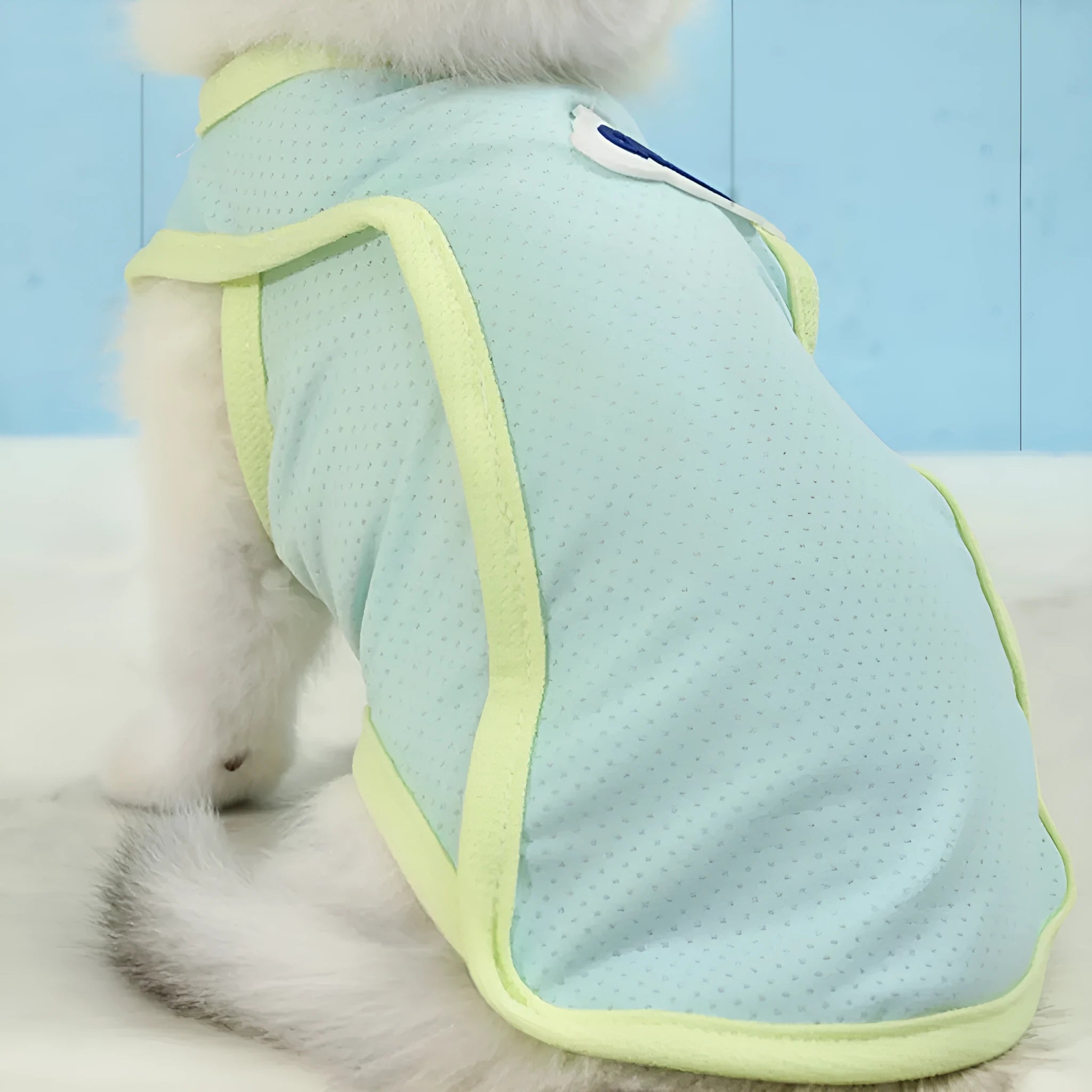 Grass green polyester cat vest with anti-lint properties and thin summer design