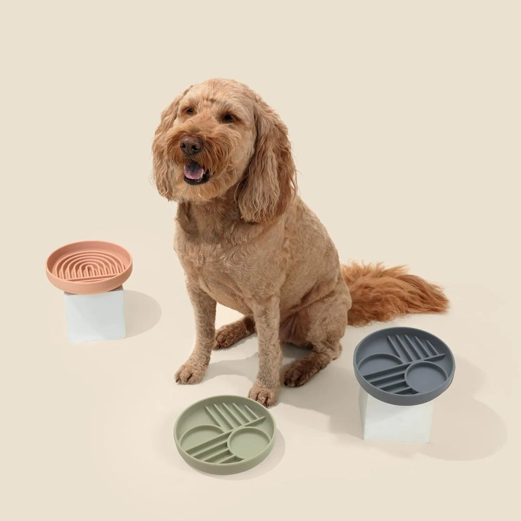Silicone slow feeder dog bowl with ridges, functioning as a lick mat, in charcoal ash colour.