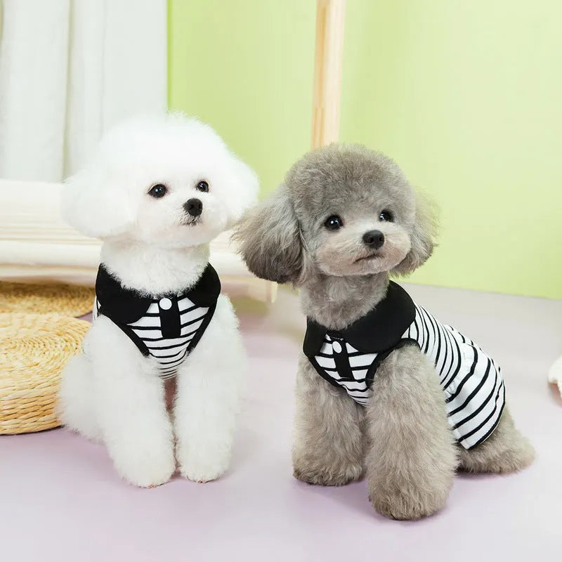 Matching cotton t-shirt and stripe skirt pet clothing set for dogs and cats in summer