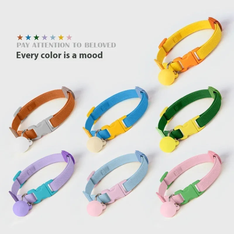 A high-elasticity polyester pet collar for small dogs in a choice of seven solid colours on a white background.