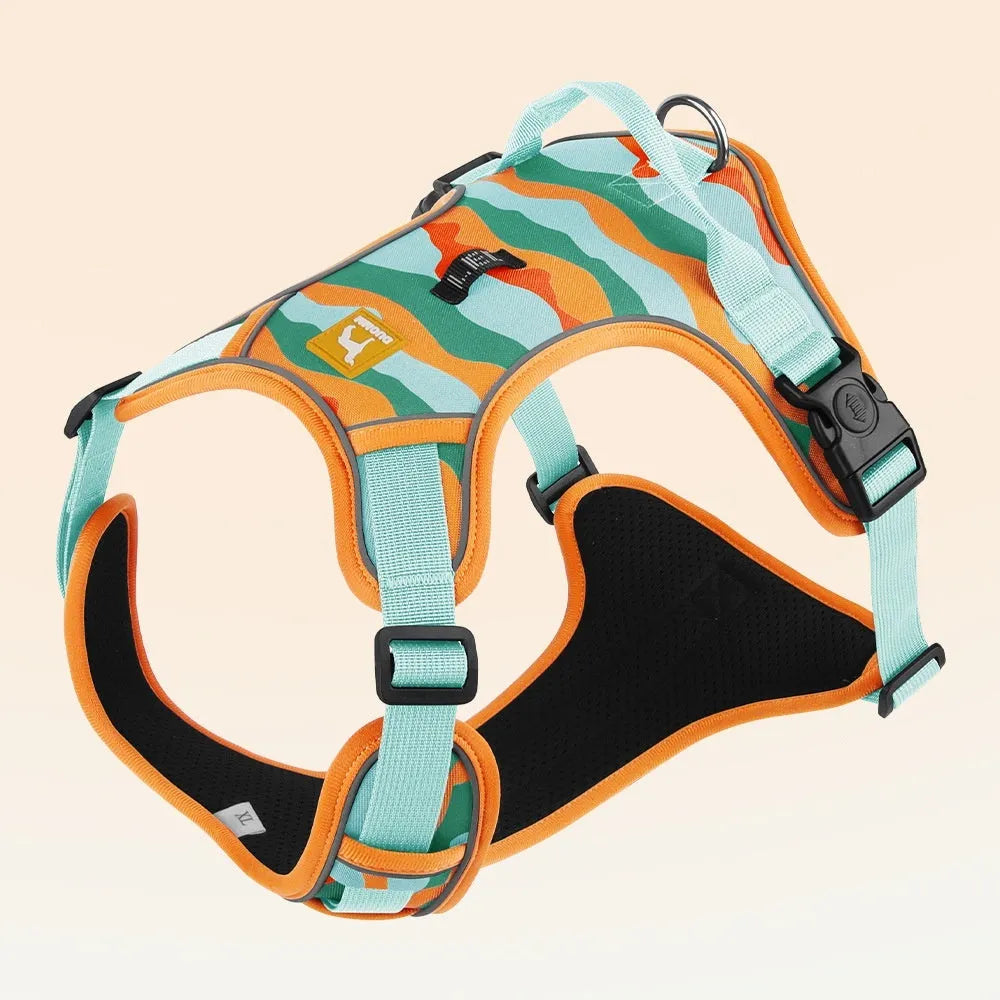 Reflective dog walking rope with chest harness in Oxford cloth, showing hand-holding loop and adjustable sizing