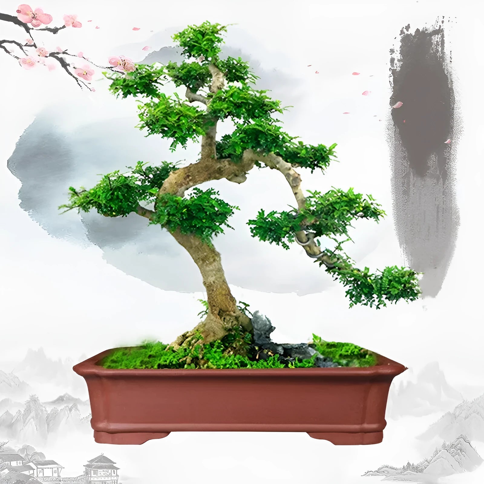 Large rectangular handmade purple clay bonsai pot shown in three available size variations.