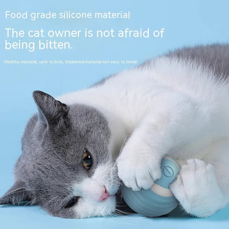 Blue automatic moving cat toy ball with charging cable for indoor feline entertainment