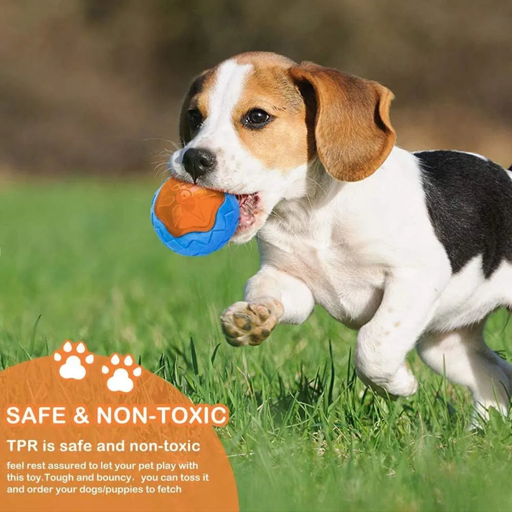 TPR dog toy set with ball, barbell, and tires floating in water