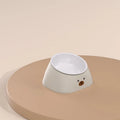 Green 15-degree tilted stainless steel pet bowl with PP base for cervical spine support during feeding