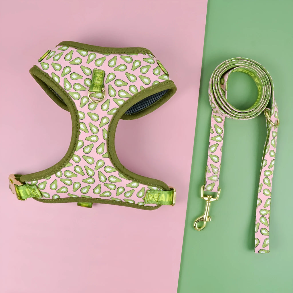 Colourful polyester dog harness for medium and large breeds on a white background