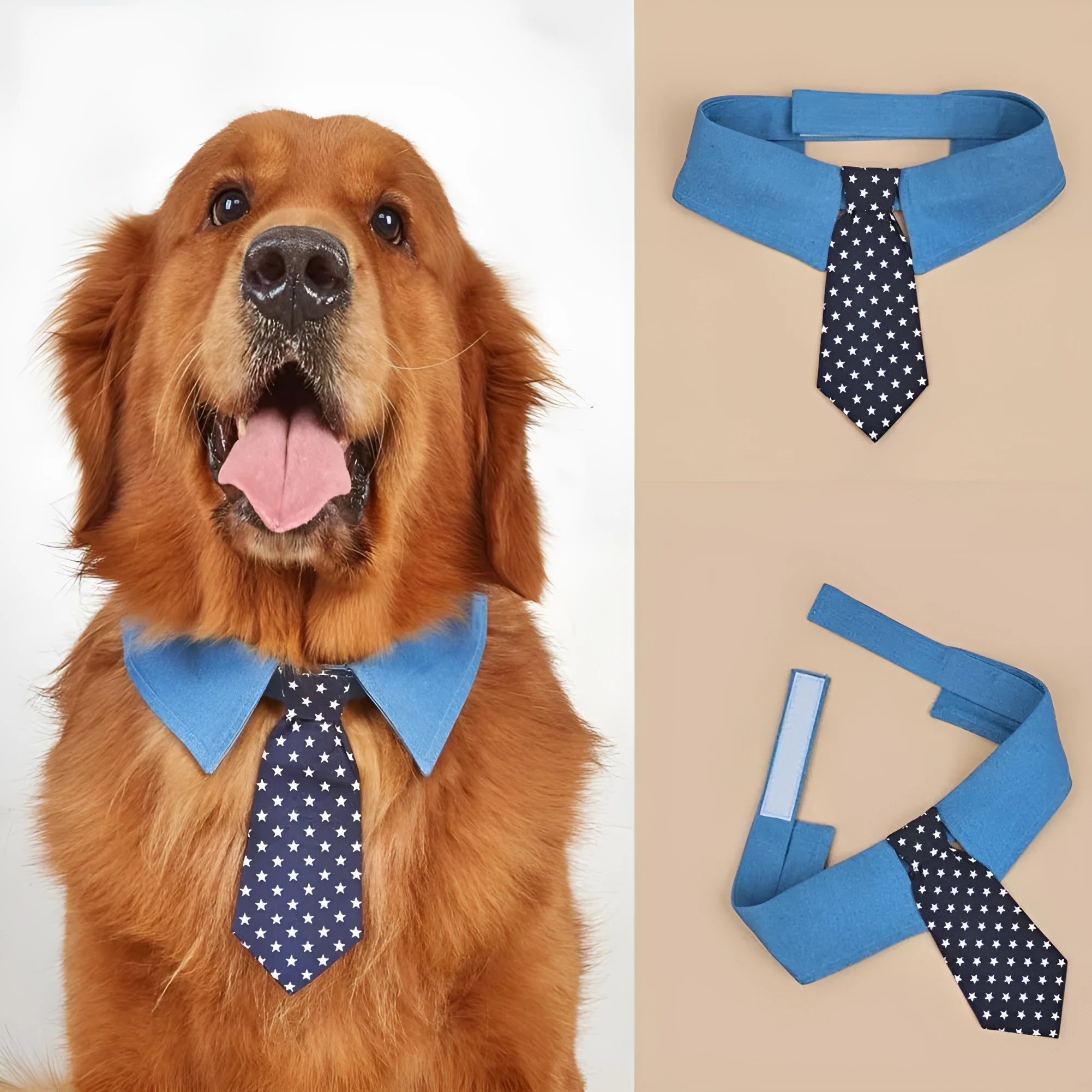Denim dog collar with blue star pattern and red necktie on adjustable fastener tape.