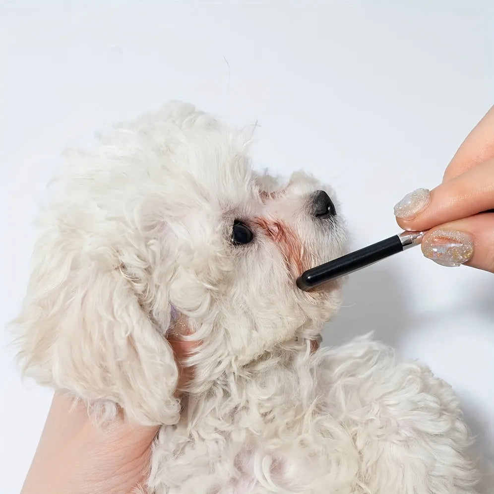 Black pet grooming brush with soft bristles for eye tear stain removal and comb attachment for dogs and cats