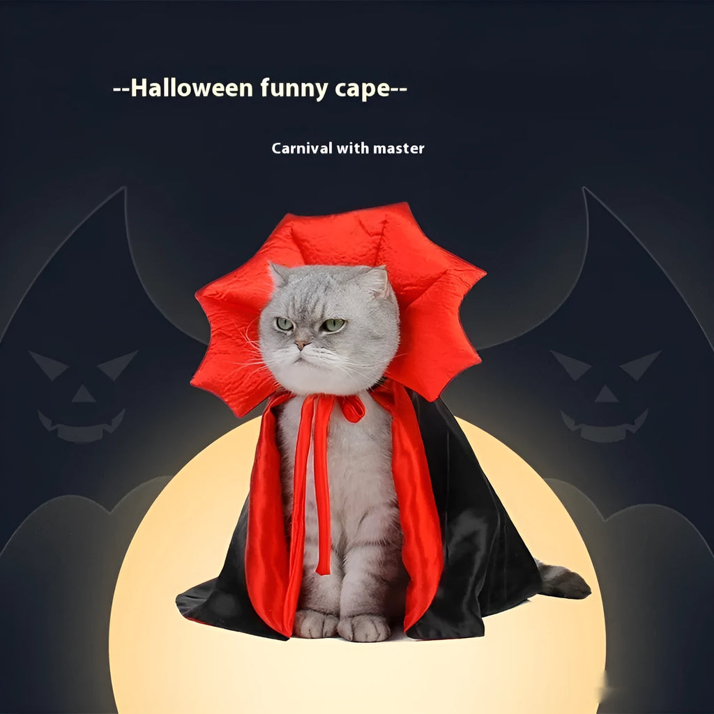 Black and red Halloween costume outfit for cats and dogs on pet mannequin