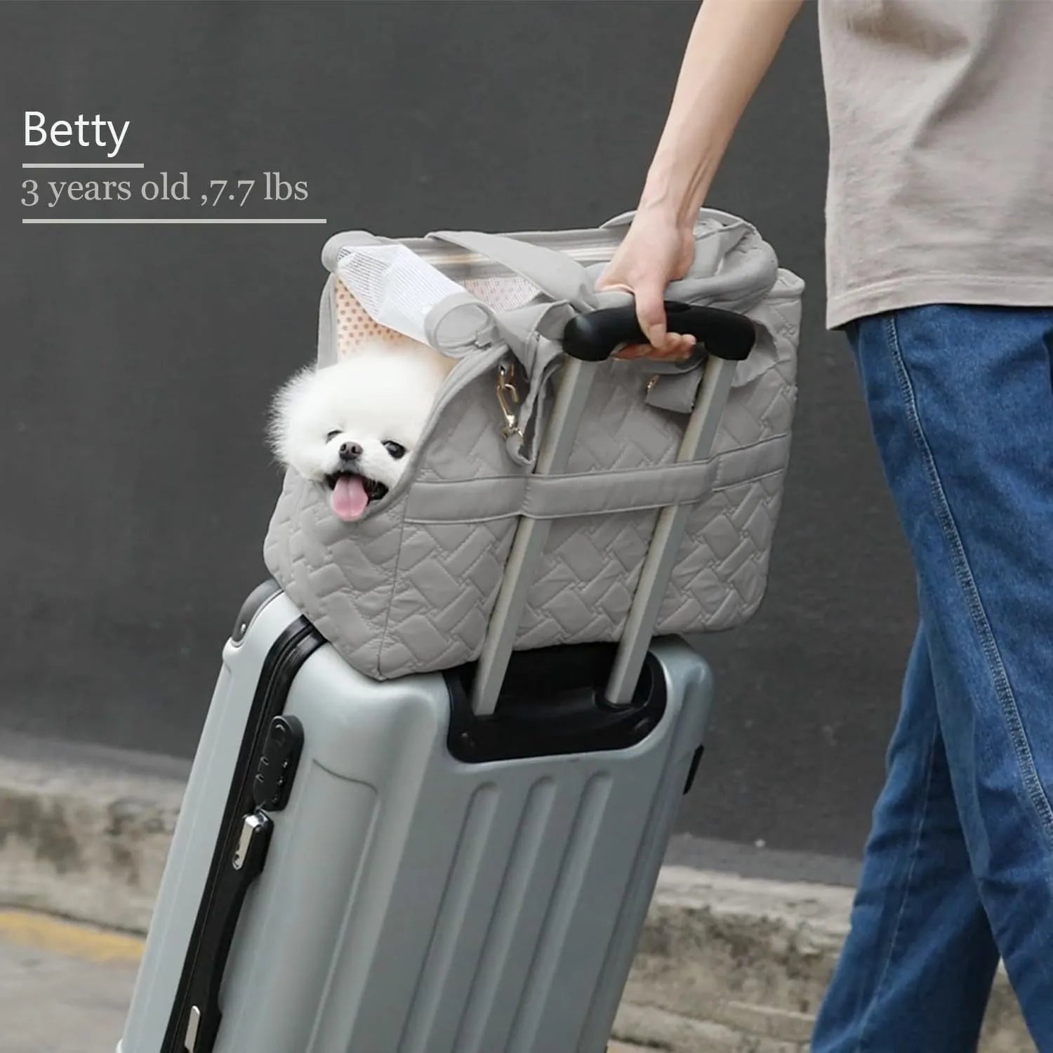 Grey pet carrier handbag with mesh panels and safety cord for cat or small dog transport