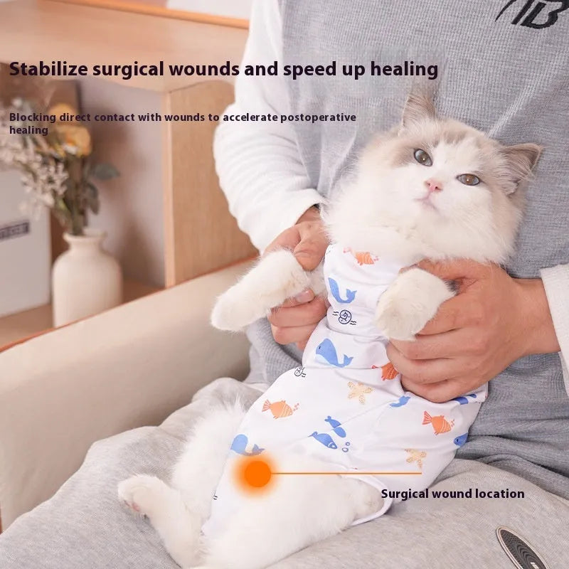 Cat wearing a patterned post-operative sterilisation recovery suit with Velcro closures.