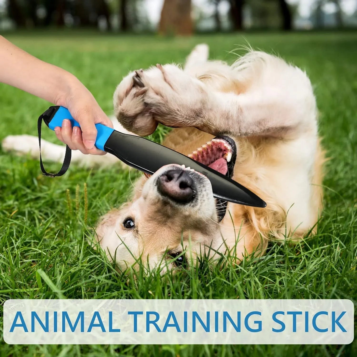 Blue handled nylon dog training break stick for small and medium breed bite control.