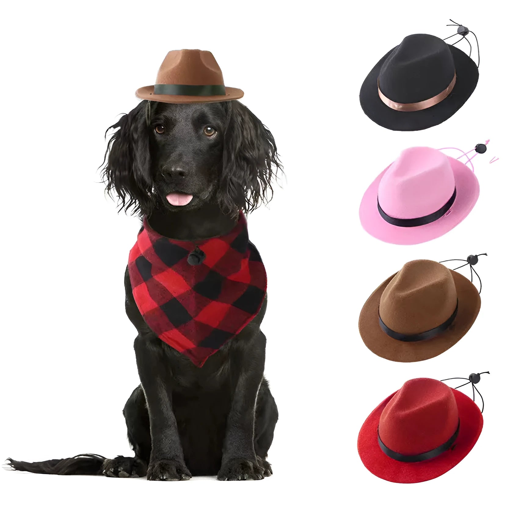 Handmade wool felt mini pet sun hat in S size with 155cm diameter and hairpin, shown in black monochrome pattern