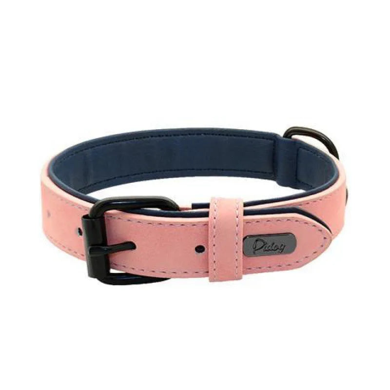 Adjustable dog collar in purple with double-layer thickened construction and buckle fastener