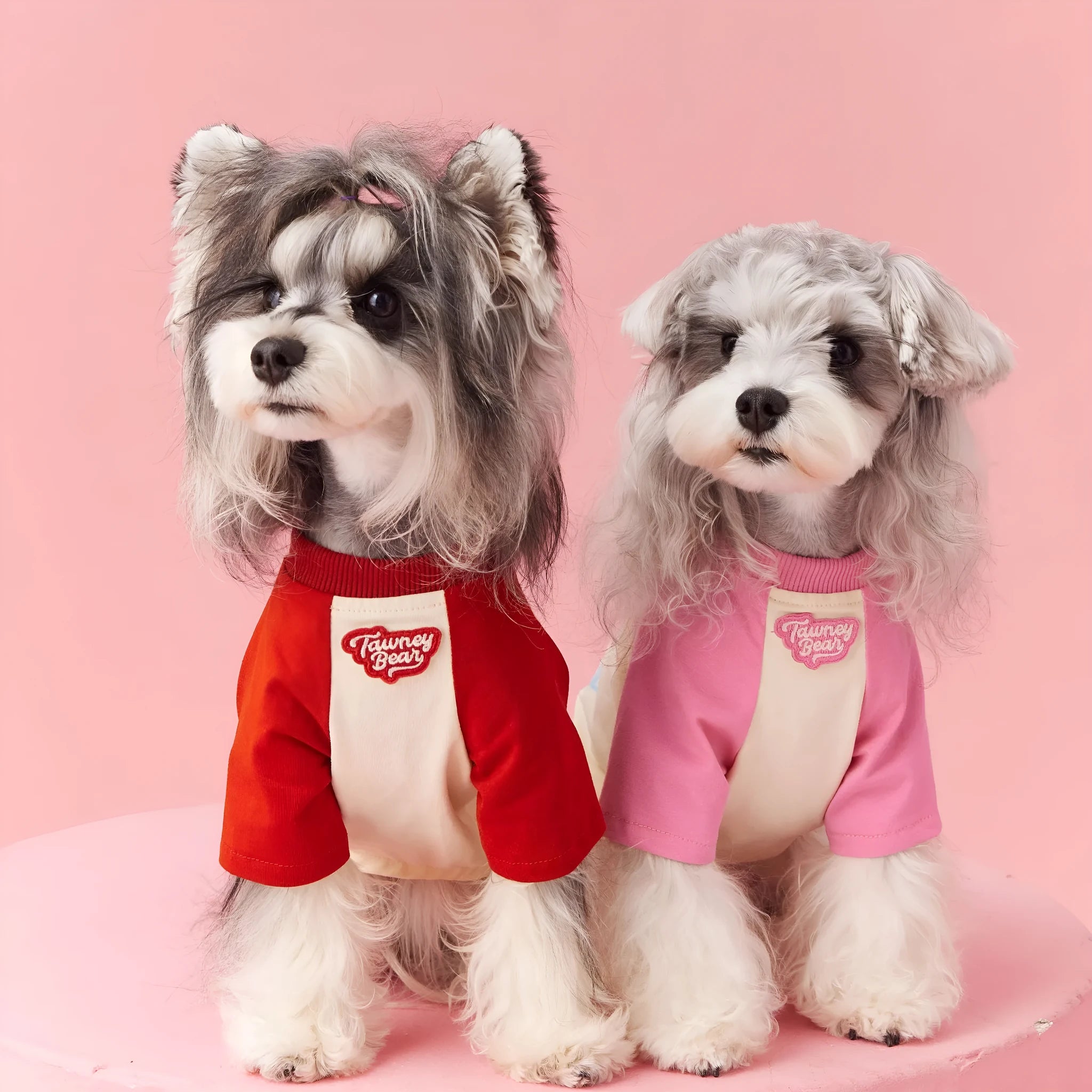Red embroidered cotton summer clothes for a dog on a size chart showing XS to XXL.