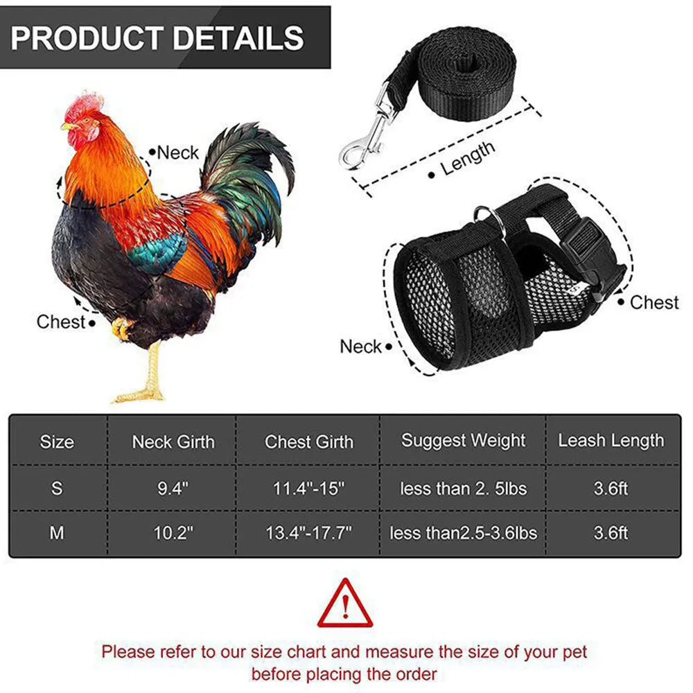 Poultry harness set featuring a red chicken vest, matching collar with bow, belly belt, and a long traction rope on a table.