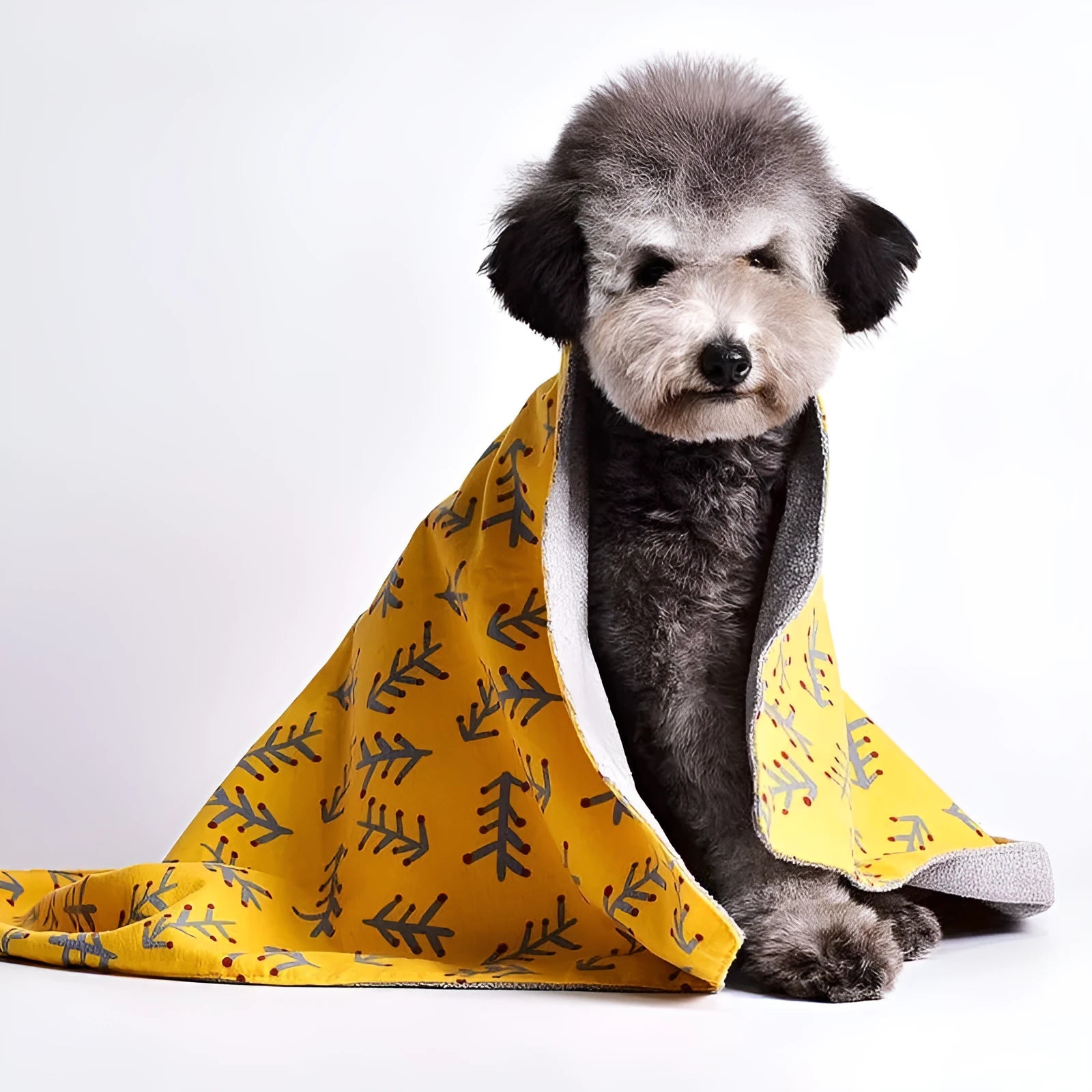 Double-sided cotton velvet pet blanket with dinosaur print, shown in a dog bed.