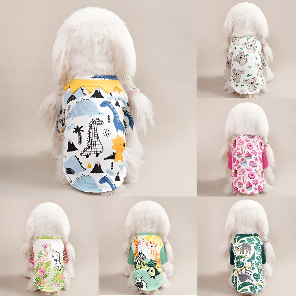 Colourful printed polyester t-shirt on a small dog, showing casual spring and autumn pet clothing.