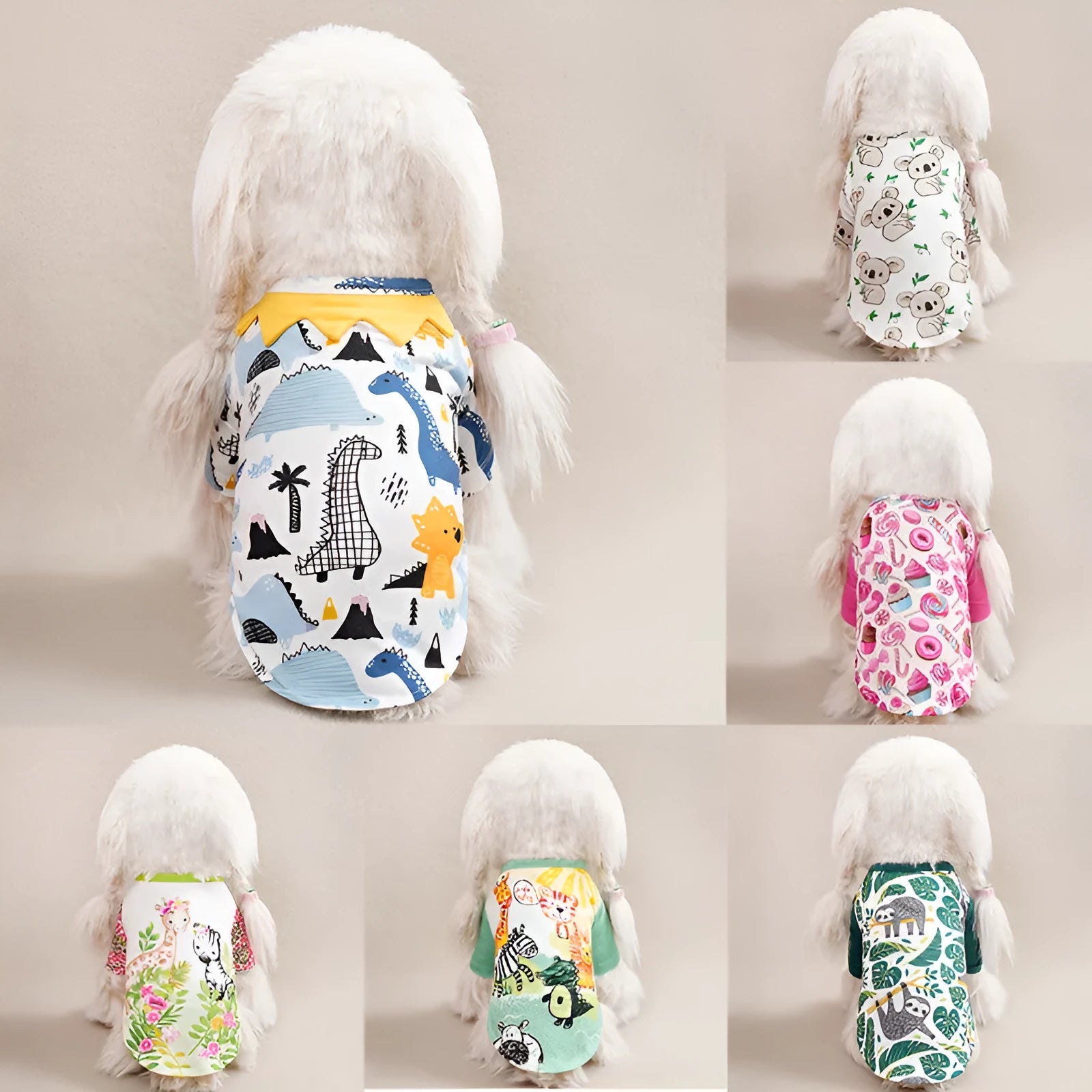 Colourful printed polyester t-shirt on a small dog, showing casual spring and autumn pet clothing.