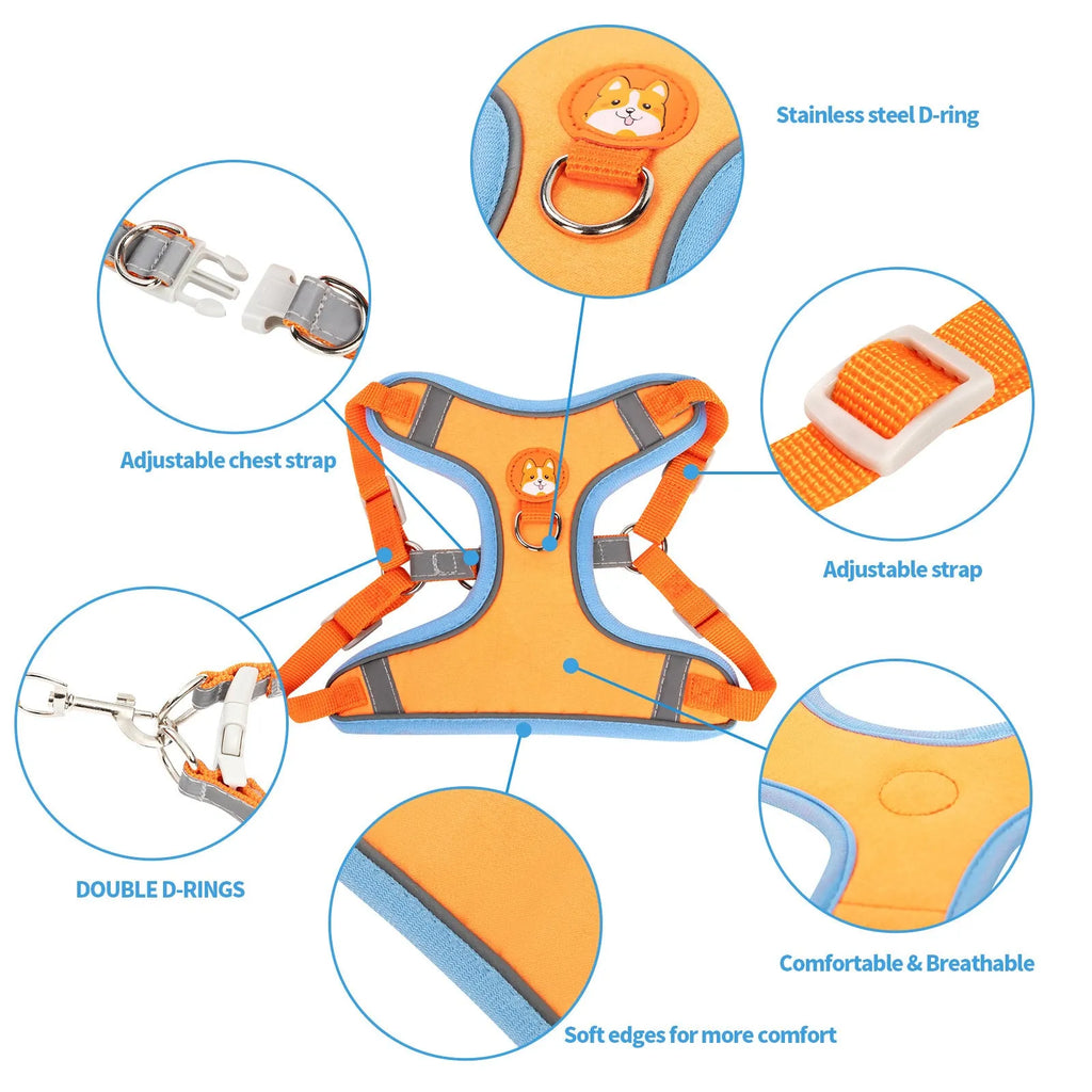 Adjustable dog harness with haulage rope in a selected colour, showing the chest strap design.