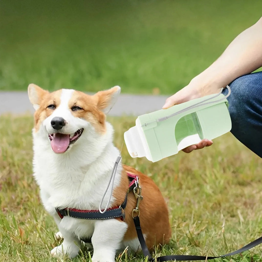 Grey 2-in-1 portable dog water bottle and feeder with lanyard for outdoor use