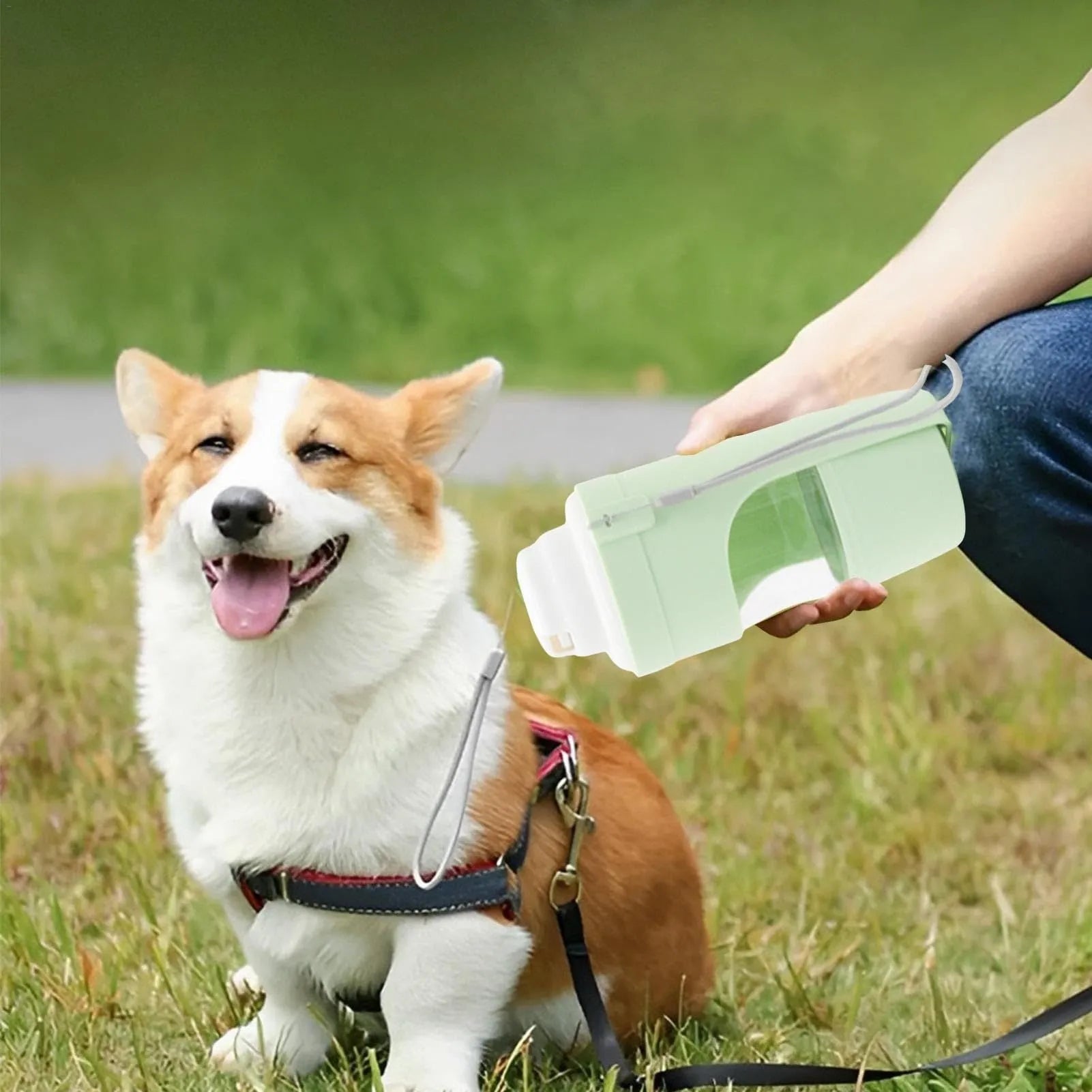 Grey 2-in-1 portable dog water bottle and feeder with lanyard for outdoor use