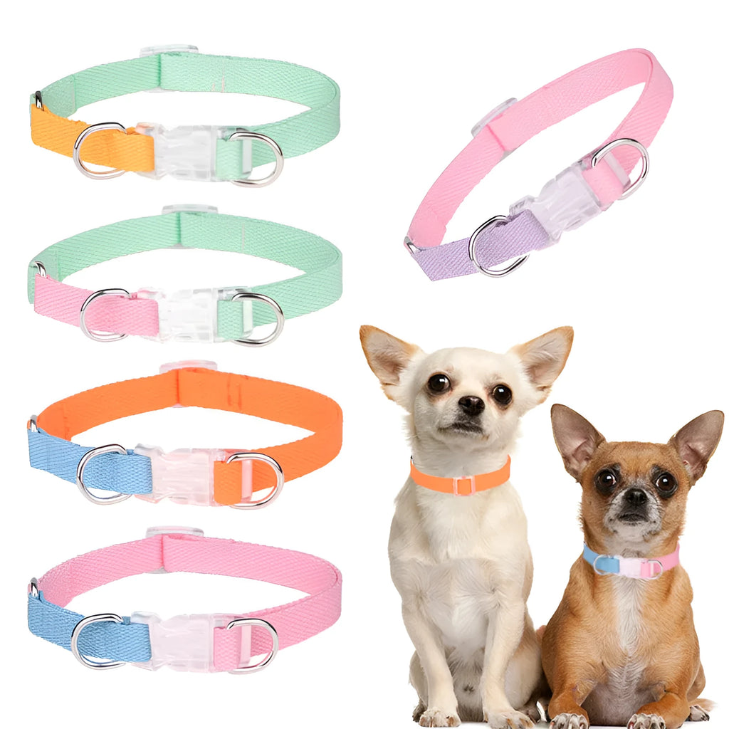 Polyester dog collar and leash set in green and pink colour combination showing collar, leash and chest strap