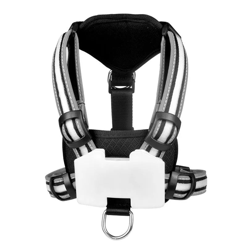 USB charging luminous dog leash with seven-colour LED light strip in nylon construction