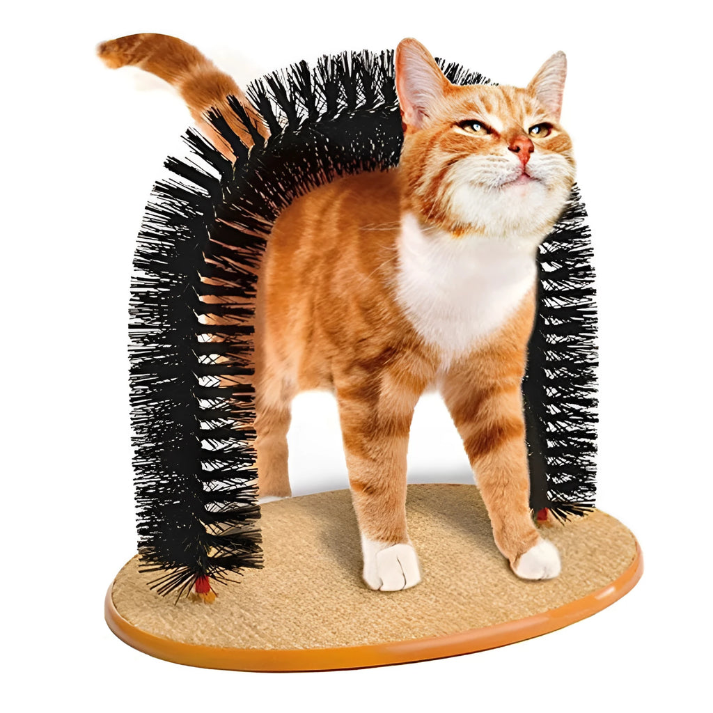 Arched cat grooming station with integrated brush bristles for scratching and self-grooming
