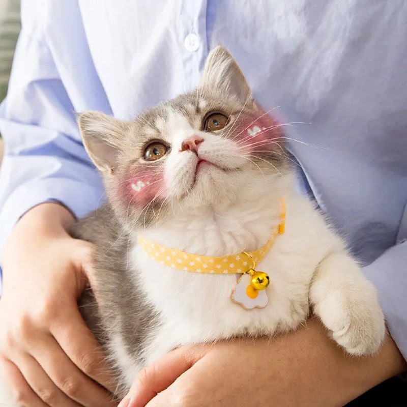 Adjustable green cat collar with bell pendant and bow tie for small dogs
