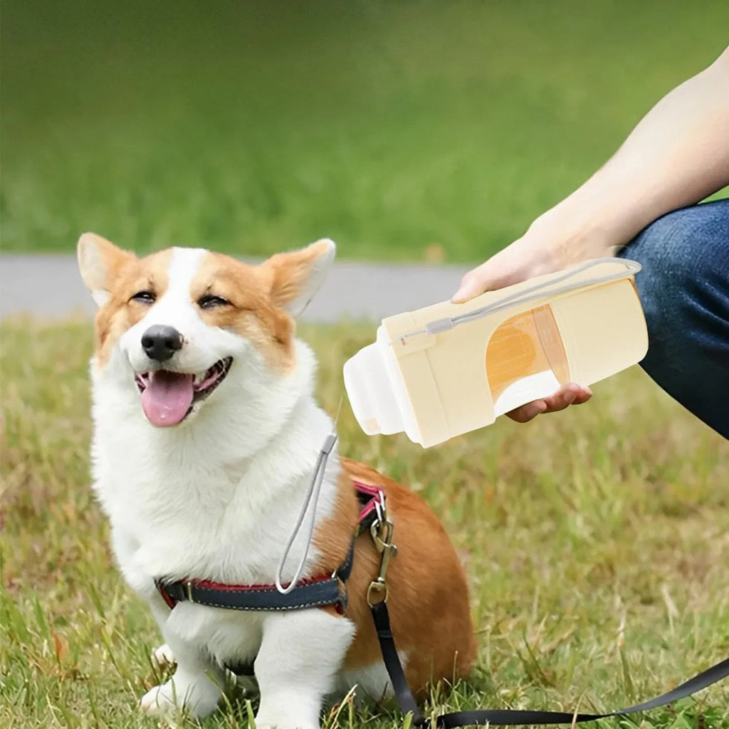 Grey 2-in-1 portable dog water bottle and feeder with lanyard for outdoor use