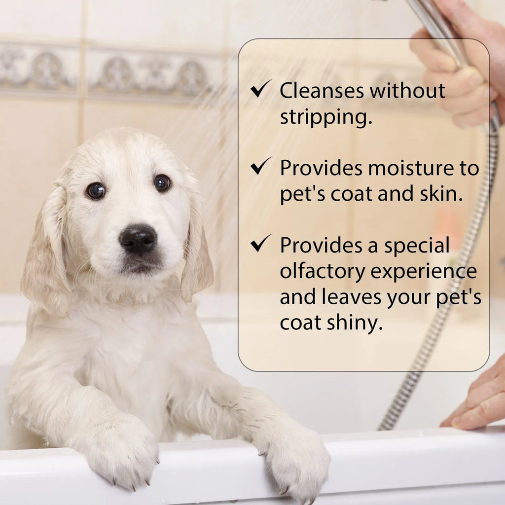 Pet shampoo bottle for dogs and cats in 100ml and 300ml sizes