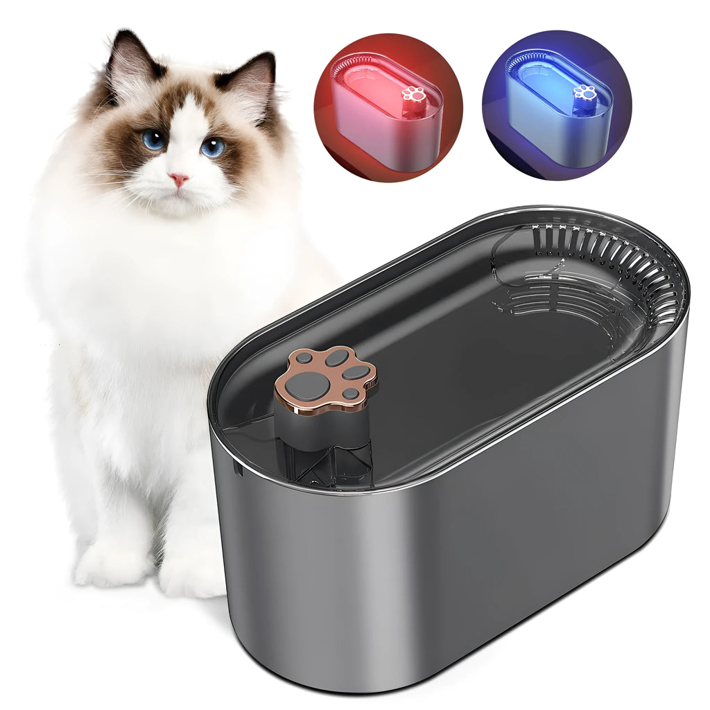 Blue automatic pet water fountain with filter on a floor next to a cat