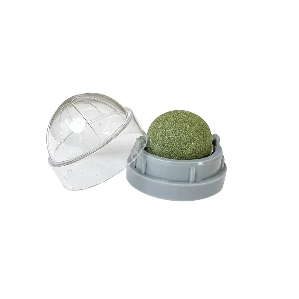 Plastic catnip ball chewing toy in various colours with textured surface for dental cleaning