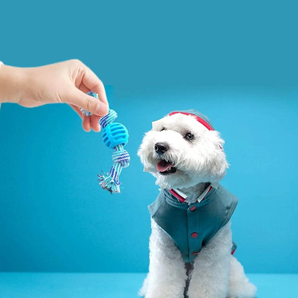 Blue dog chew toy with molar cleaning texture and integrated rope sections for dental health support