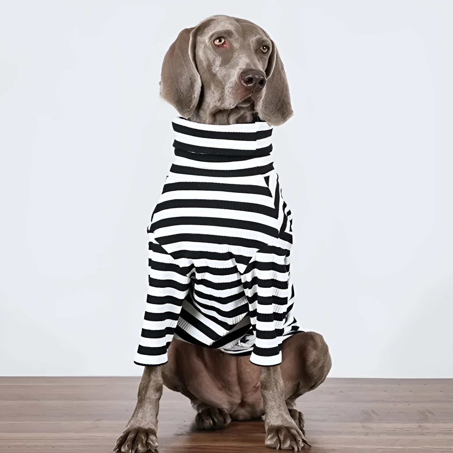 Black and white thin polyester dog clothing for large breeds on a size chart.