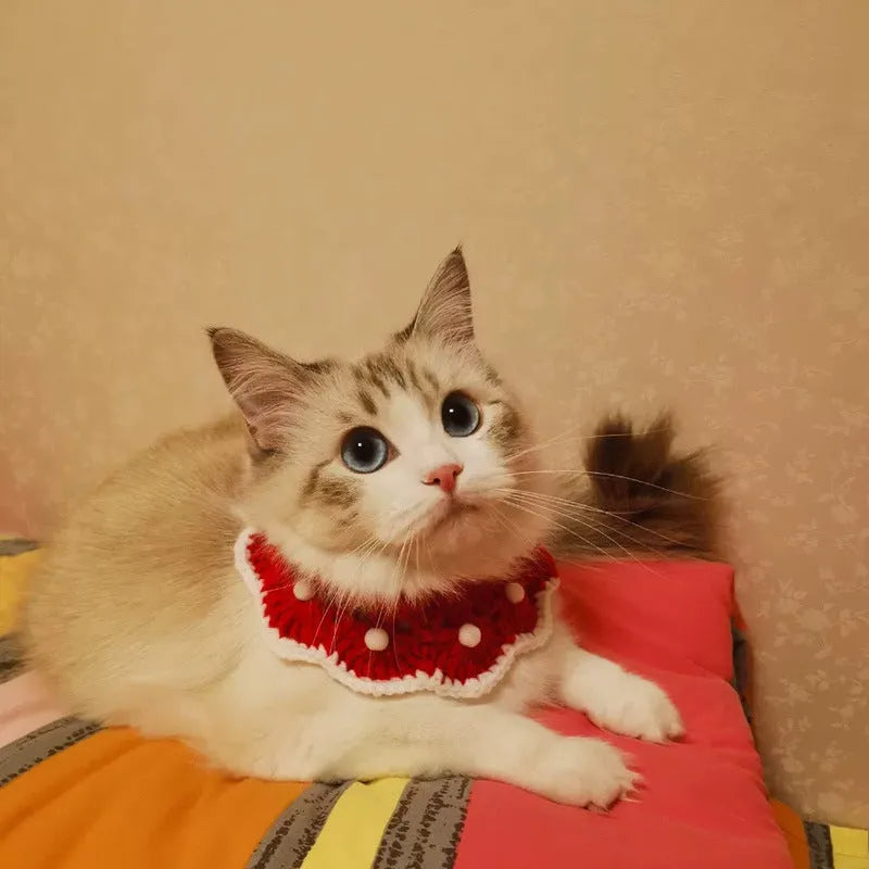 Knitted pet collar with cartoon pattern in milk cotton material showing size options