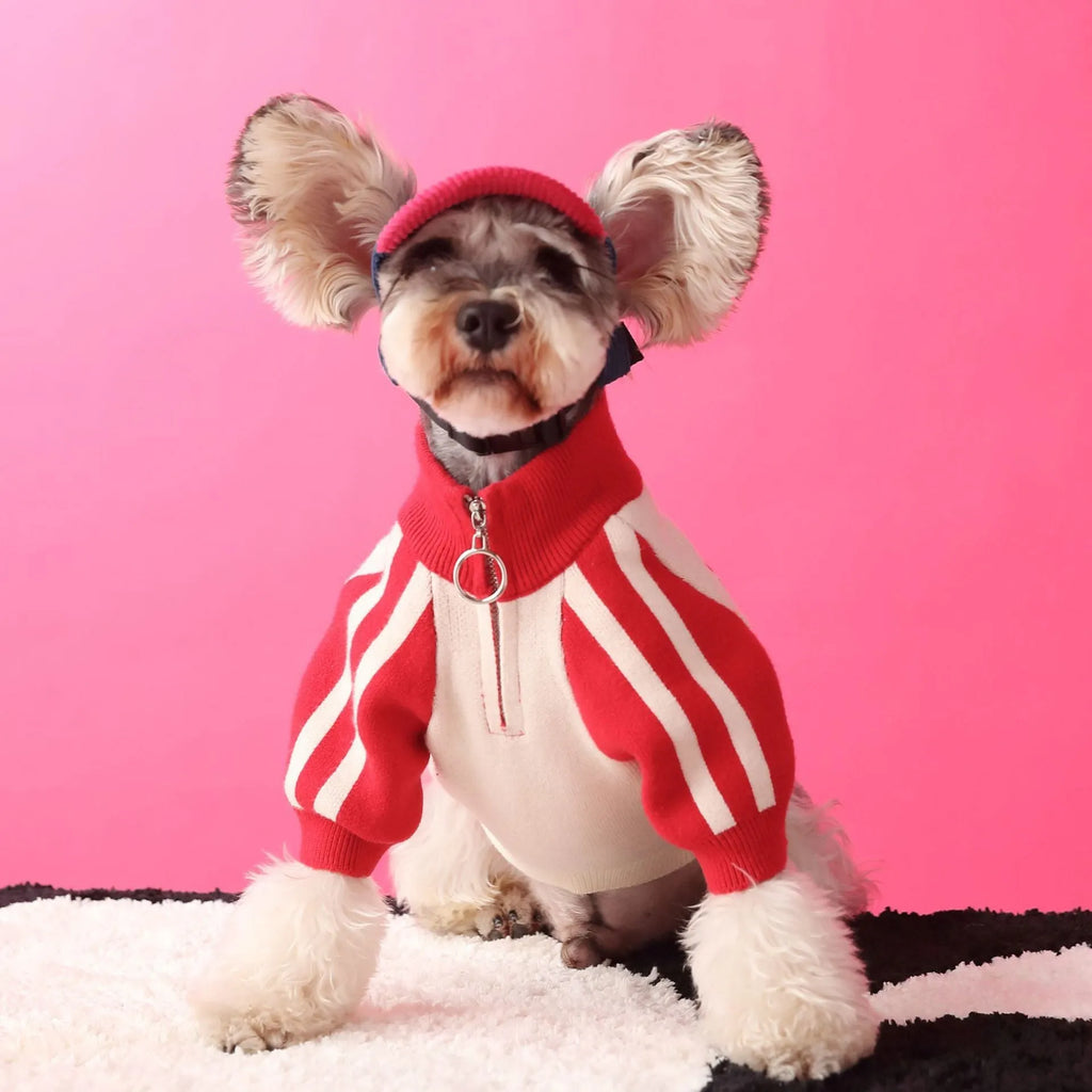 Red wool dog sports sweater cardigan shown on medium-sized dog with casual fit