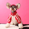 Red wool dog sports sweater cardigan shown on medium-sized dog with casual fit