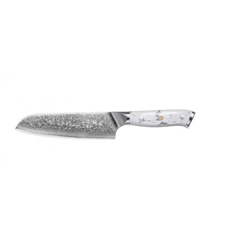 Damascus pattern combined chef's knife with 21cm VG10 steel blade and 11cm handle