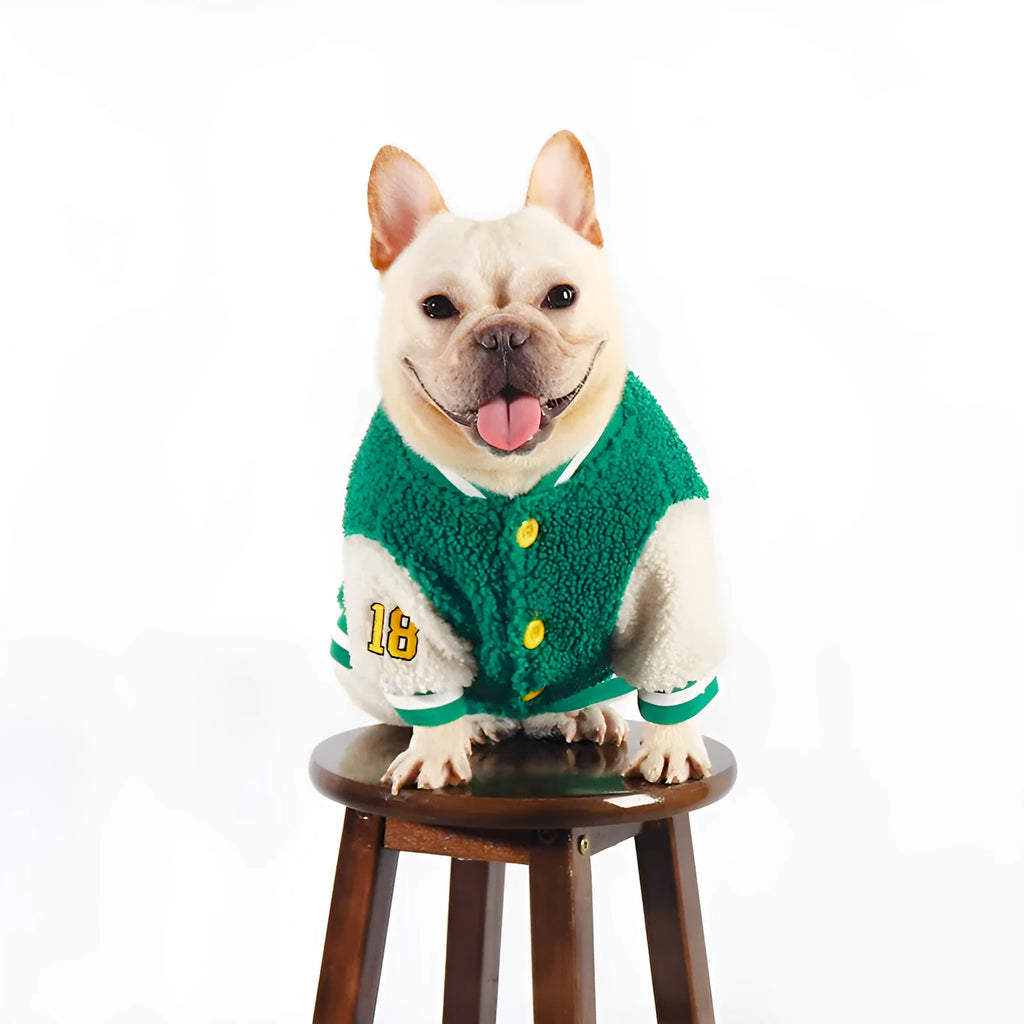 Green fleece-lined cotton dog winter clothing showing pullover design for cold weather protection