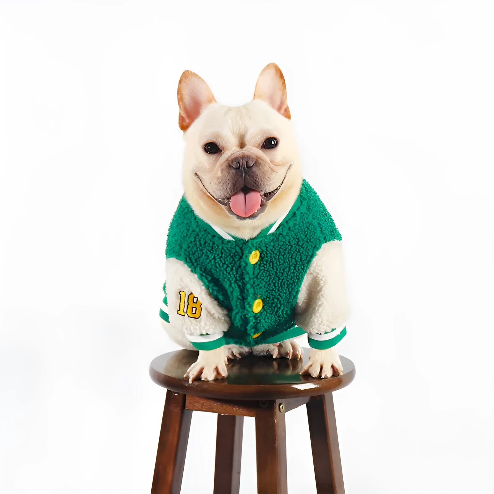 Green fleece-lined cotton dog winter clothing showing pullover design for cold weather protection