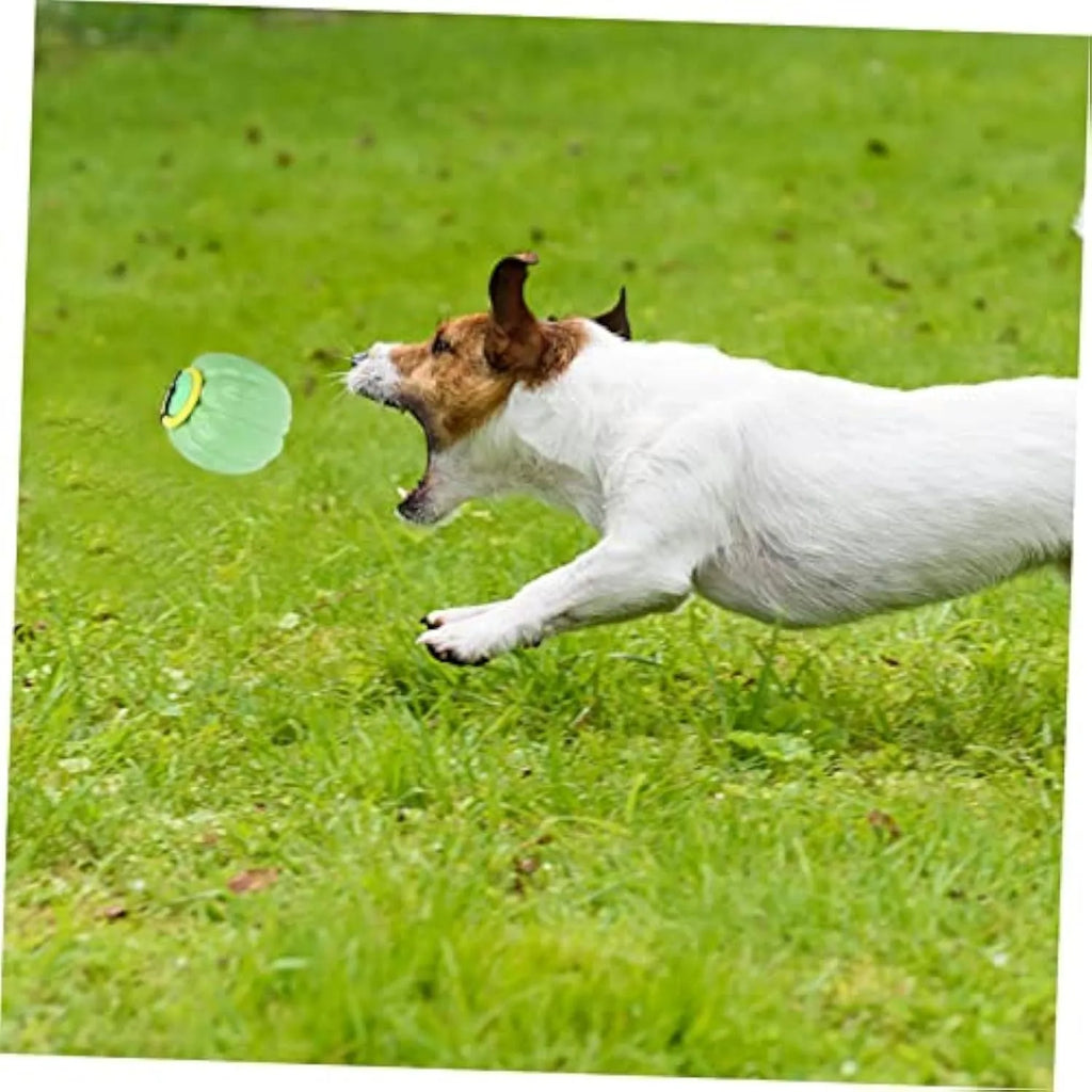 Green, orange, and yellow plastic pumpkin-shaped squeaker dog ball toy for puppies and small dogs.